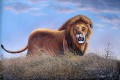 アフリカから来たマグウェ・ライオンの咆哮